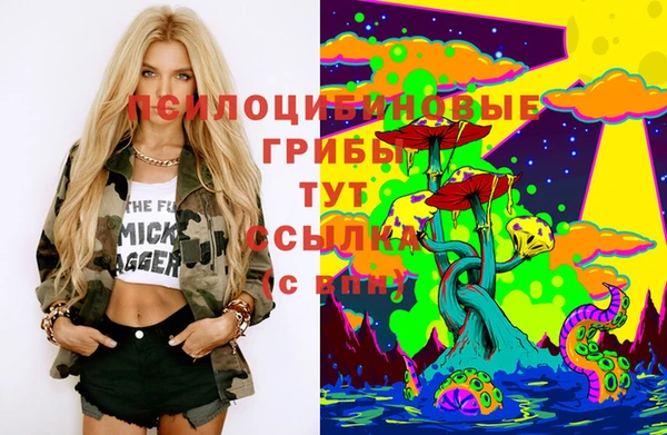 прущая мука Касимов